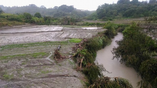 Sawah penduduk rusak akibat banjir di Samosir.