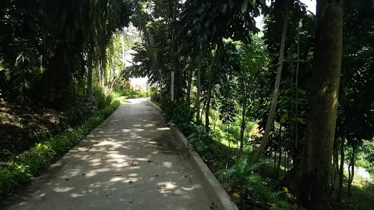 Taman Kehati kota Pematangsiantar, Jumat (14/12). (isiantar/nda).